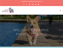 Tablet Screenshot of canineperspectivechicago.com